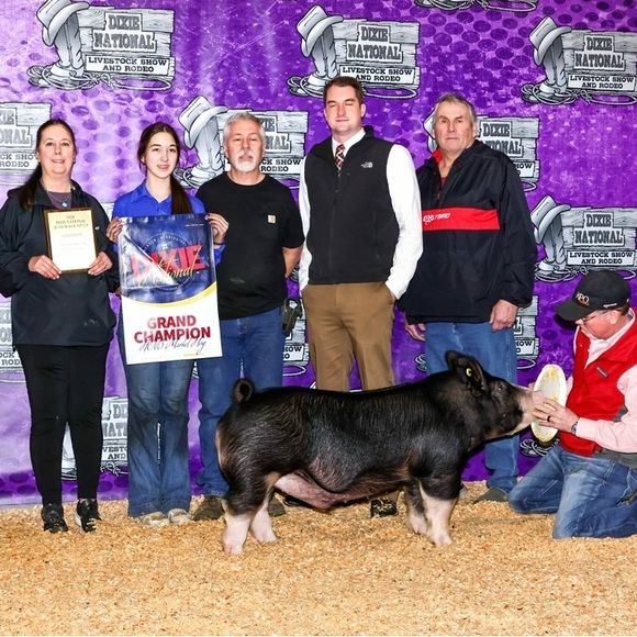 Meet your Posher, Rebecca - Picture 5 of 16